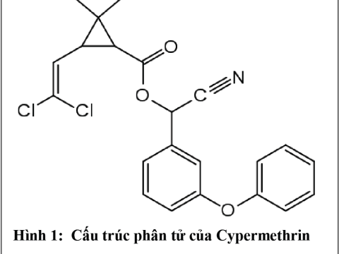 Cypermethrin hoạt chất Nam Phong