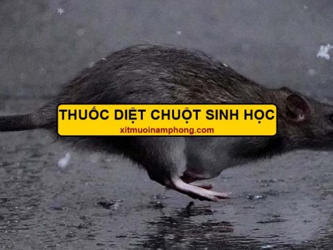 thuốc diệt chuột sinh học Nam Phong