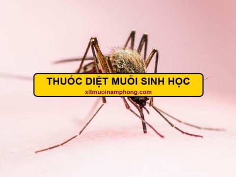 thuốc diệt muỗi sinh học Nam Phong