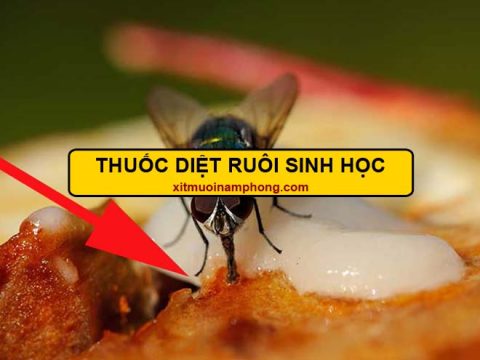 thuốc diệt ruồi sinh học Nam Phong
