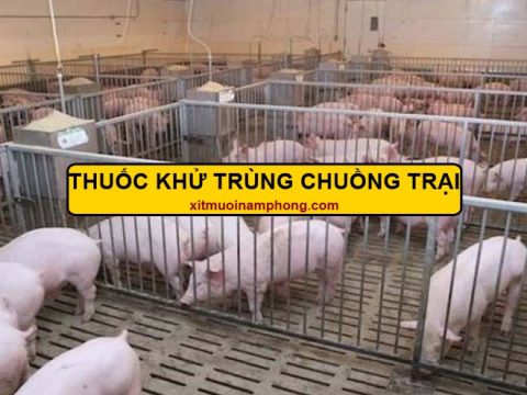 thuốc khử trùng chuồng trại lợn Nam Phong